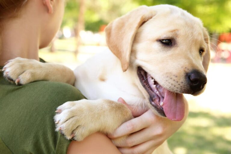 teen and dog in animal-assisted therapy